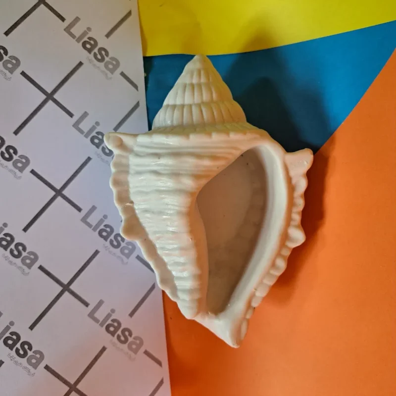 قالب سیلیکونی صدف ۱۲ سانتی - Image 1